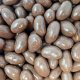 Milk Chocolate Brazil Nuts